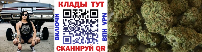 Купить наркотик Заозёрск Бошки Шишки  Меф мяу мяу  ГАШ 