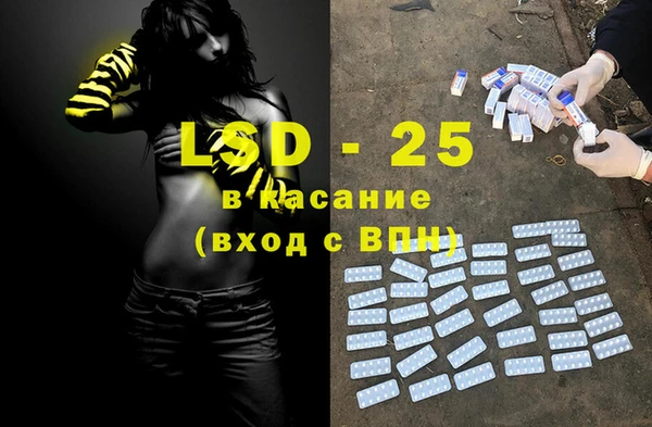 сатива Горняк