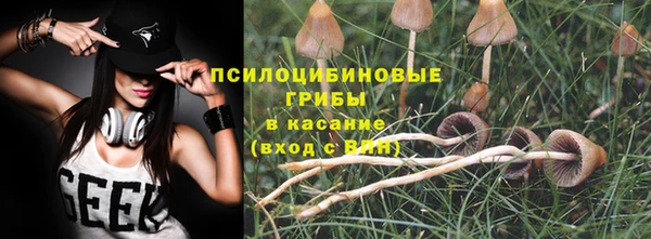 меф Вяземский
