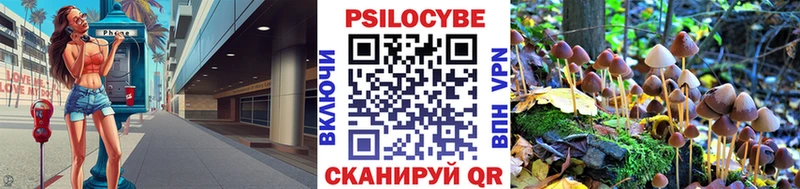 Псилоцибиновые грибы мицелий  darknet формула  Заозёрск 